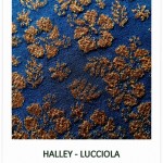 HALLEY LUCCIOLA